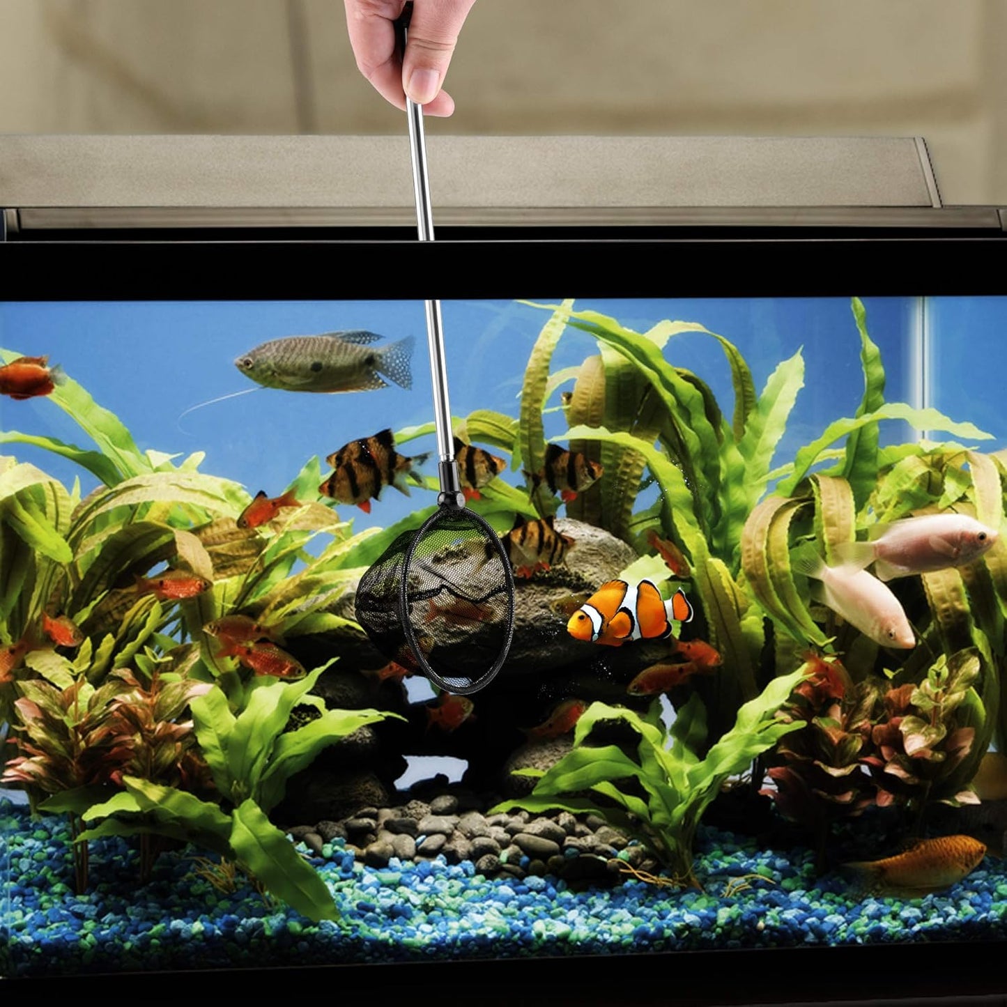 Aquarium Fish Net, Fine Mesh Net for Fish Tank, Telescopic Fish Net with Extendable Stainless Steel Long Handle