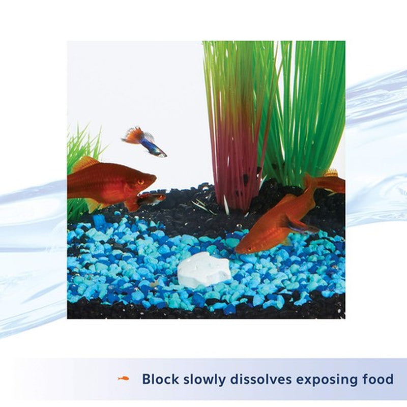 Aqueon Vacation Fish Food Feeder 0.85 Ounce 3 Day Block for Medium Fish